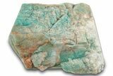 Teal-Blue Amazonite Crystal - Lake George, Colorado #259953-1